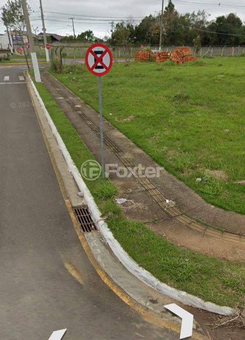 Image 7 - 881502