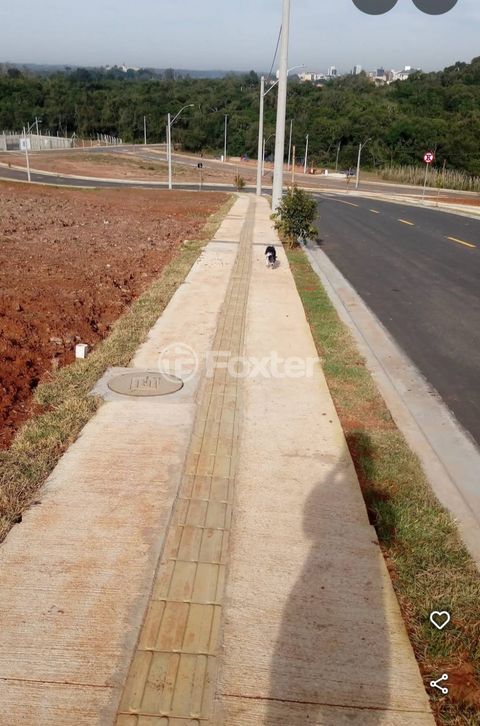 Image 6 - 881502