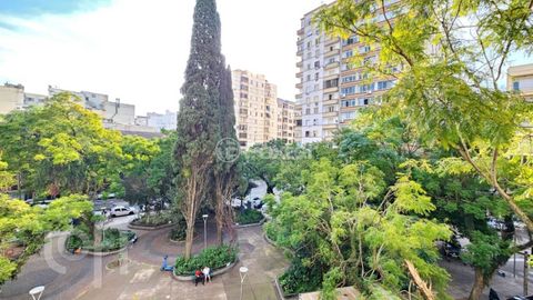 Image 17 - 881766