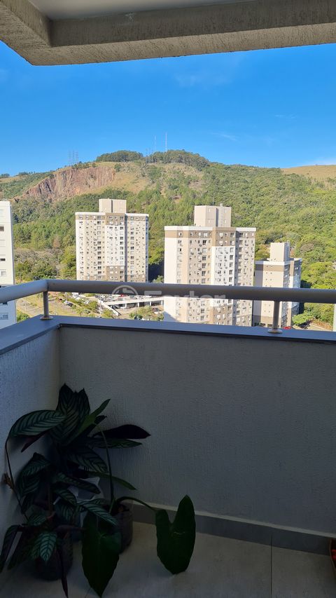 Image 5 - 881790