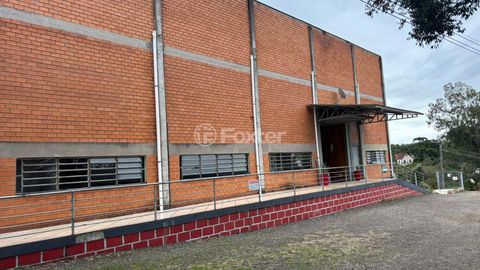 Image 7 - 881970