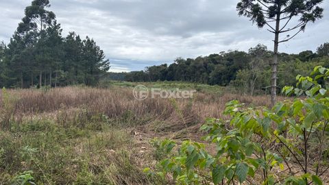 Image 5 - 881970