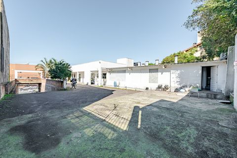 Image 9 - 882045