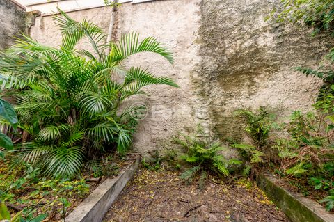 Image 7 - 882316