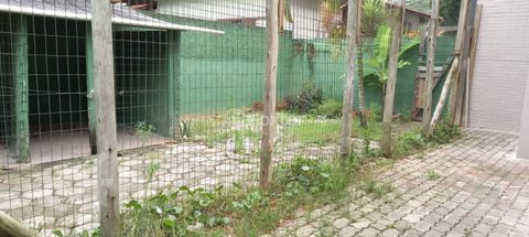 Image 4 - 882519