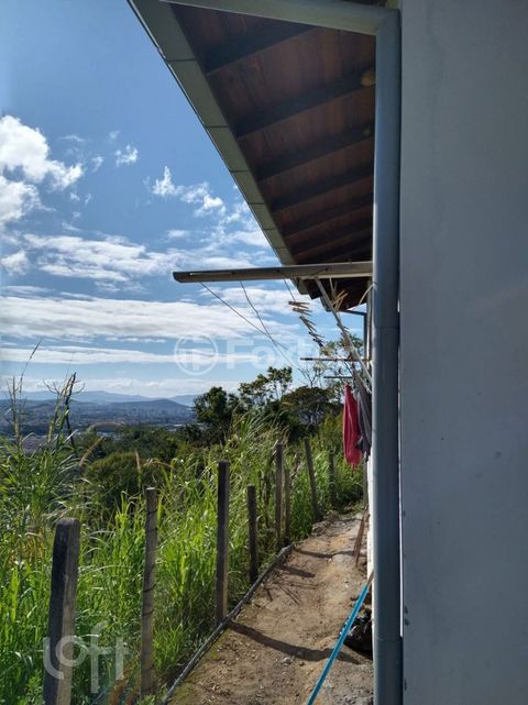Image 3 - 882530