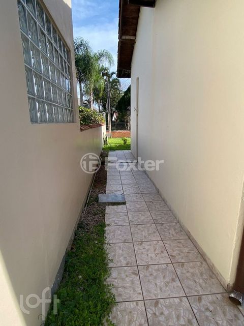 Image 7 - 882648
