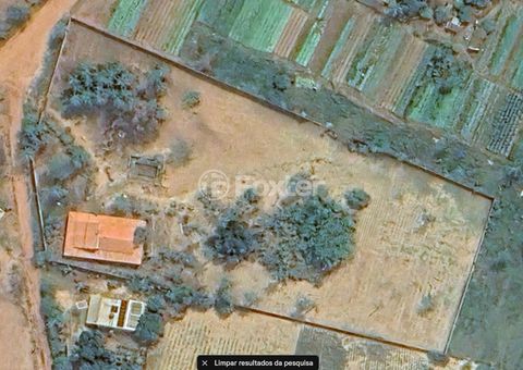 Image 6 - 882668
