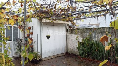 Image 5 - 882817