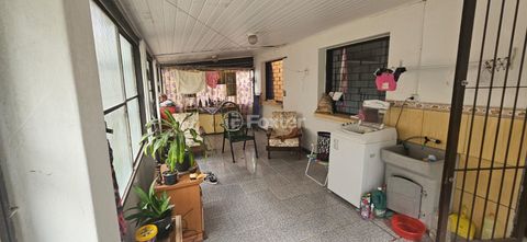 Image 7 - 883038
