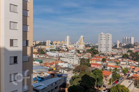 Image 7 - 883125