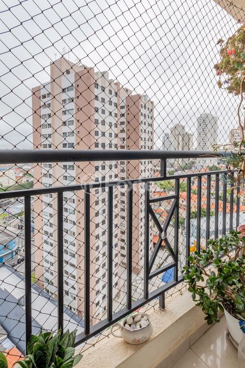 Image 17 - 883238