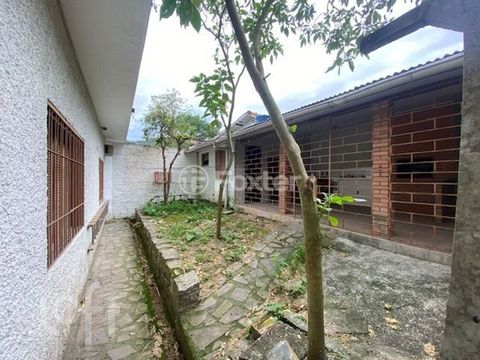 Image 11 - 883252