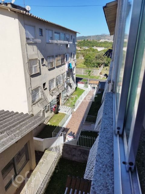 Image 8 - 883273