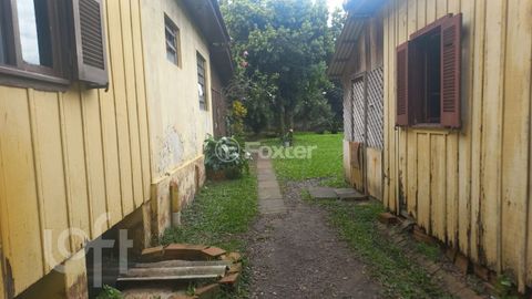 Image 4 - 883276