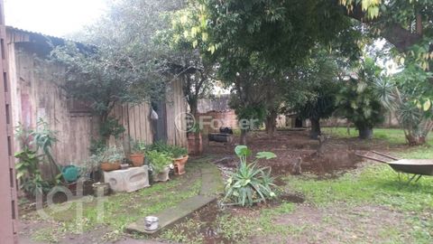 Image 8 - 883276