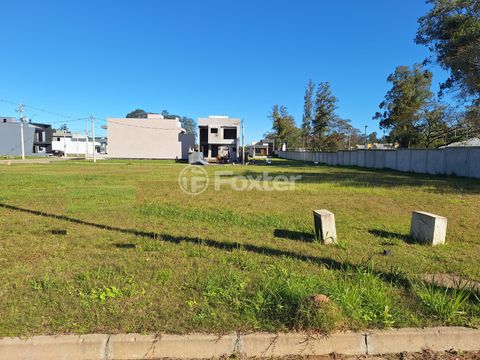 Image 8 - 883475