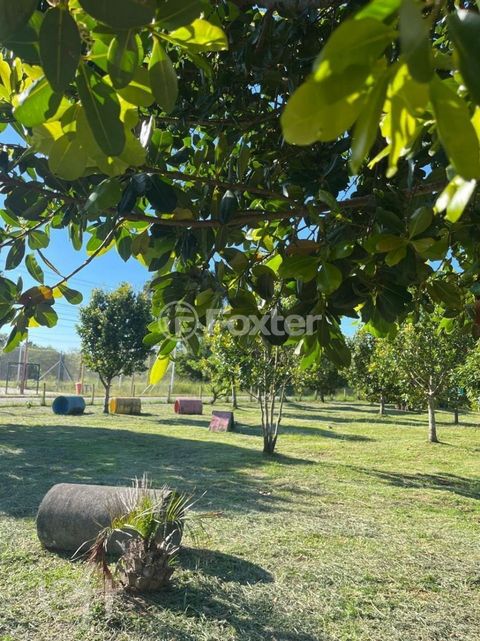Image 17 - 883487