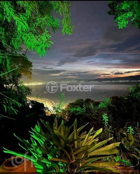 Image 6 - 883644