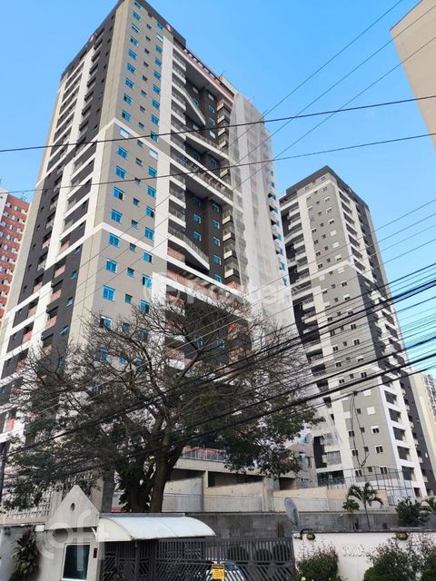 Image 10 - 883773