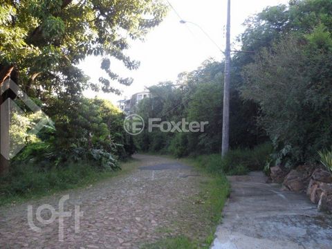 Image 11 - 883784