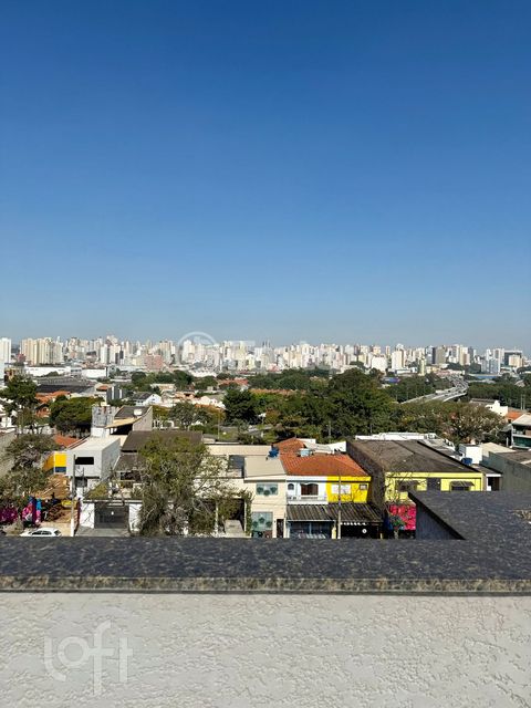 Image 15 - 883785