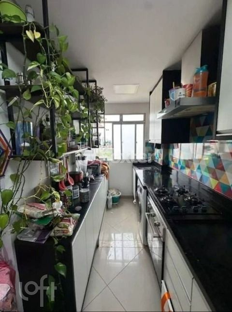 Image 3 - 883786