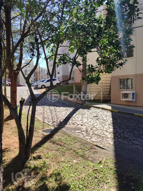 Image 5 - 883788