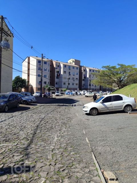 Image 6 - 883788