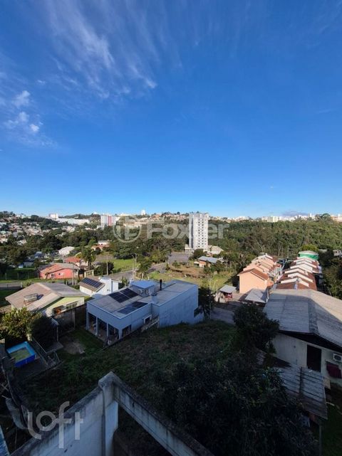 Image 11 - 884184