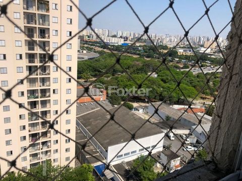 Image 9 - 884262