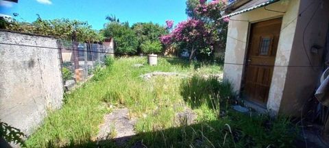 Image 5 - 884345