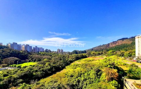 Image 9 - 884347