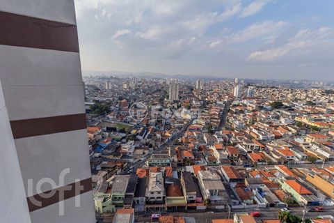 Image 15 - 884395