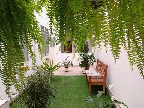 Image 9 - 884497