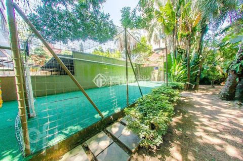 Image 8 - 884547