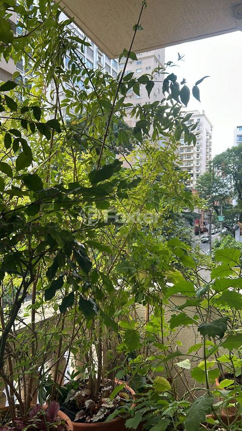 Image 8 - 884575