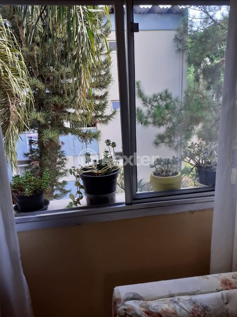 Image 2 - 884590