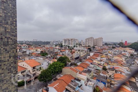 Image 3 - 884667