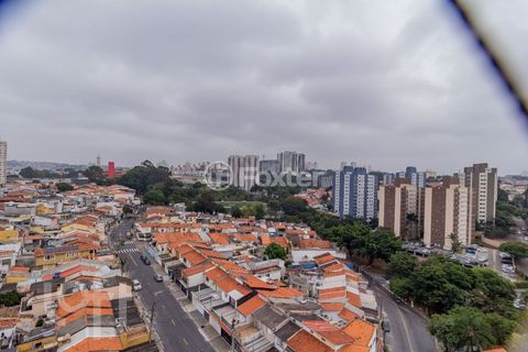 Image 4 - 884667