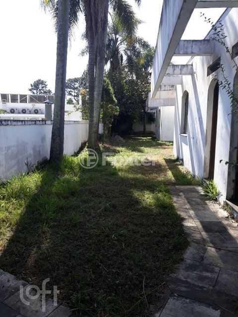 Image 19 - 884706