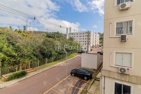 Image 8 - 884710