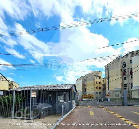 Image 7 - 884750