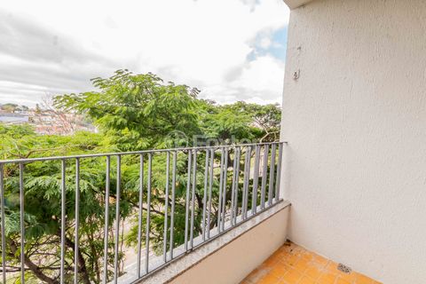 Image 3 - 884796