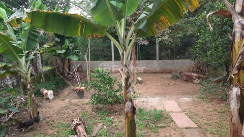 Image 13 - 884870