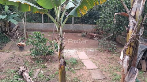Image 19 - 884870