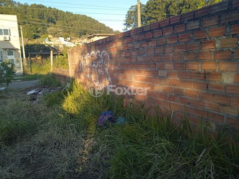 Image 4 - 885022
