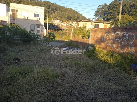 Image 9 - 885022