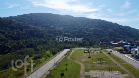 Image 8 - 885329