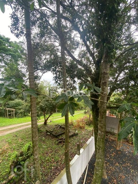 Image 13 - 885335